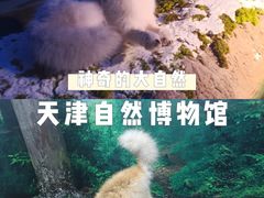 -天津自然博物馆