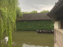 -鲁镇