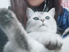 -北京恒爱动物医院(清景园分院)