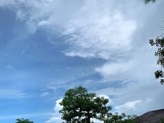 -广东惠东海龟国家级自然保护区