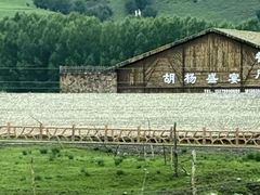 -新疆那拉提国家旅游度假区