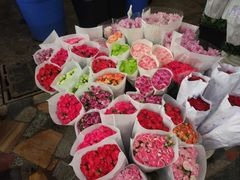 -秦美花卉(天朗·莱茵小城2期店)