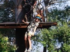 -清迈丛林飞跃 JungleFlight