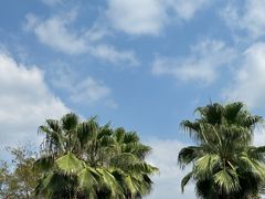 -三江森林温泉度假区