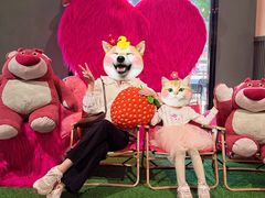 -马兰卡西式简餐(新汇大融城店)