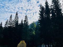 -深圳仙湖植物园