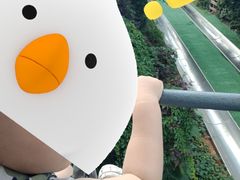 -富斯特索道