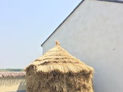 -同里国家湿地公园