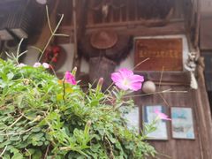 -林坑古村落