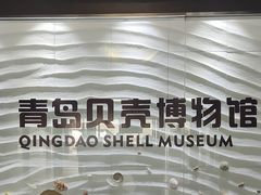 -青岛贝壳博物馆