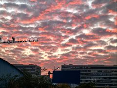 -映月湖公园