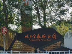 -风云岭森林公园