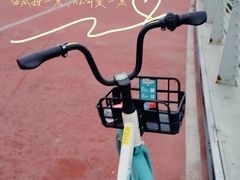 -白鹭湾湿地公园