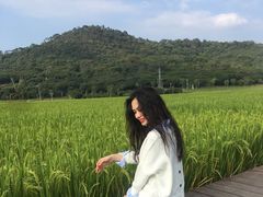 -风云岭森林公园
