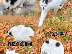 -天坛公园