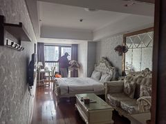 -凤凰印象公寓(深圳罗湖大剧院东门店)