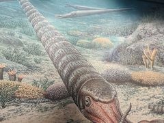 -辽宁古生物博物馆