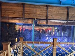 -海合安青岛极地海洋公园