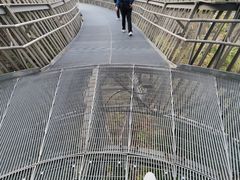 -福道