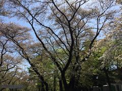 -井之头恩赐公园