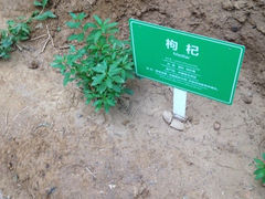 iphone_upload_pic-世界地热博览园