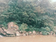 -神光山国家森林公园