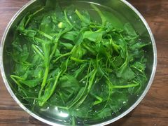 豌豆尖-攀枝花·任德琼·盐边羊肉米线