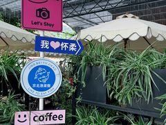 -京北渔家傲