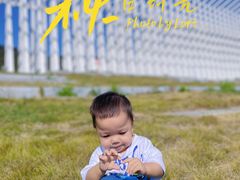 -艾米稻香小镇