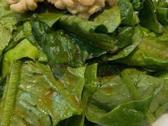 桃仁油麦菜-煜丰汴京烤鸭(福彩路店)