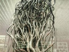 -北京中医药大学-中医药博物馆