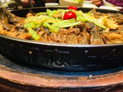 -老板恋上鱼(荣盛广场店)