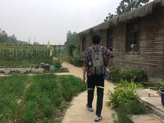 -微山湖红荷湿地景区
