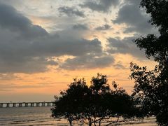 -宝安西湾红树林湿地公园