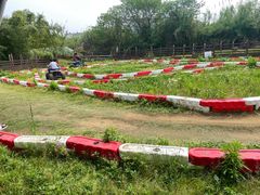 -田园东方蜜桃村的田野营地