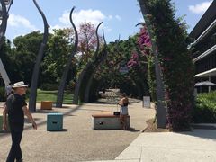 -布里斯班南岸公园