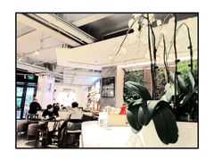 大堂-Peet's 皮爷咖啡(东湖路手作店)