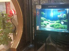 -汤泉良子.足疗按摩.SPA(中关村店)