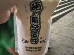 -猫的魔法密林(衣裳街店)