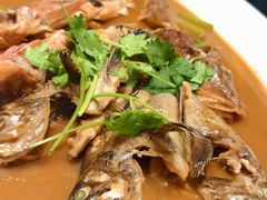 -大连湾旭日·家宴·海肠捞饭(马栏广场店)