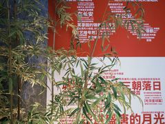 -飞鹿餐饮·陕南菜(北关店)