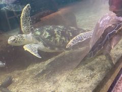 -鸿通城购物中心