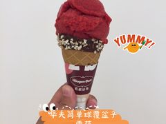 -哈根达斯(武汉天地店)