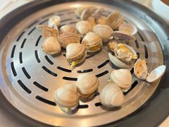 蚬子-苏大嘴蒸汽海鲜·海胆蒸饺(中山广场店)