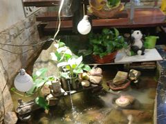 -许榴香西餐厅(台东步行街店)