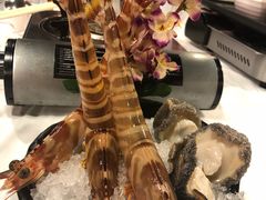 -鲜入围煮花胶鸡海鲜火锅