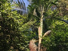 -三门江国家森林公园