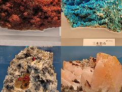 -贵州省地质博物馆