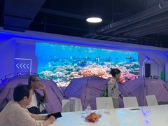 -大连圣亚海洋世界