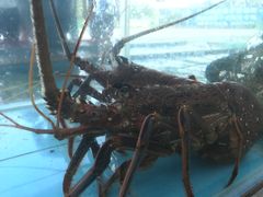 -景好海鲜餐厅(大鹏必选旅游店)